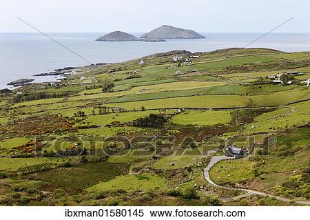 "Coastline, Deenish Island and Scariff Island, view from Cahernageeha, Ring of Kerry, County Kerry, Ireland, British Isles, Europe" View Large Photo Image Stock Photography - "Coastline, Deenish Island and Scariff Island, view from Cahernageeha, Ring of Kerry, County Kerry, Ireland, British Isles, Europe". Fotosearch