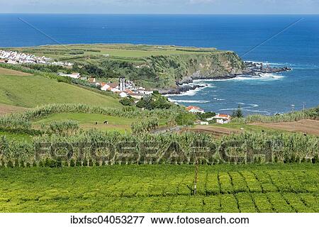 "Coastline, Porto Formoso, Sao Miguel, Azores, Portugal, Europe" View Large Photo Image Stock Photo - "Coastline, Porto Formoso, Sao Miguel, Azores, Portugal, Europe". Fotosearch