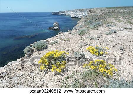 "Coastline, Tarhankut Cape, Crimea, Ukraine, Europe" View Large Photo Image Stock Image - "Coastline, Tarhankut Cape, Crimea, Ukraine, Europe". Fotosearch
