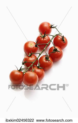 Cocktail tomatoes View Large Photo Image Stock Image - Cocktail tomatoes. Fotosearch