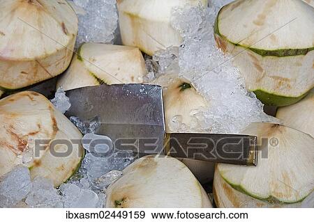 "Coconuts for drinking on ice with a Chinese knife, Thailand, Southeast Asia, Asia" View Large Photo Image Stock Photo - "Coconuts for drinking on ice with a Chinese knife, Thailand, Southeast Asia, Asia". Fotosearch