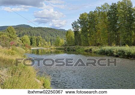 "Coeur d'Alene River, Coeur d'Alene National Forest, Idaho, USA" View Large Photo Image Stock Photo - "Coeur d'Alene River, Coeur d'Alene National Forest, Idaho, USA". Fotosearch