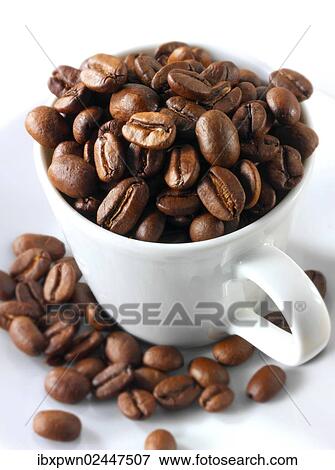 Coffee beans in a coffee cup View Large Photo Image Stock Photo - Coffee beans in a coffee cup. Fotosearch