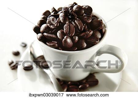Coffee beans in a coffee cup View Large Photo Image Stock Photo - Coffee beans in a coffee cup. Fotosearch