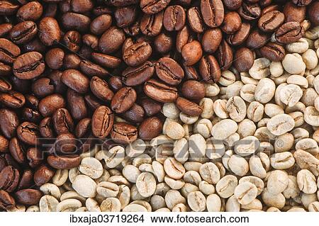 "Coffee beans, roasted and unroasted, Germany, Europe" View Large Photo Image Picture - "Coffee beans, roasted and unroasted, Germany, Europe". Fotosearch