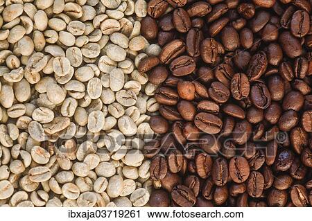 "Coffee beans, roasted and unroasted, Germany, Europe" View Large Photo Image Stock Image - "Coffee beans, roasted and unroasted, Germany, Europe". Fotosearch