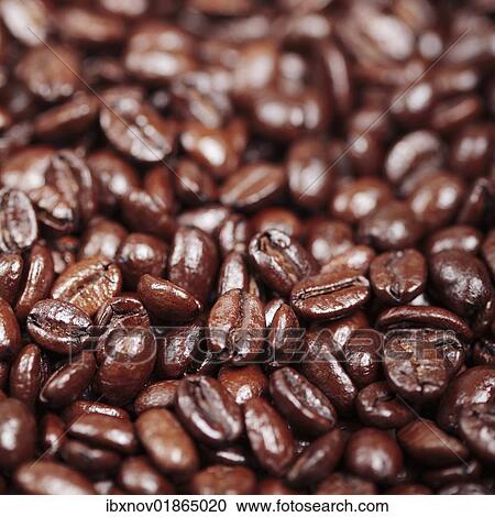 Coffee beans View Large Photo Image Stock Image - Coffee beans. Fotosearch