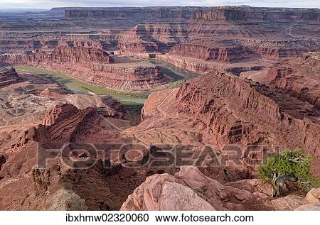 "Colorado River Canyon, Gooseneck, Dead Horse Point State Park, Moab, Utah, USA" View Large Photo Image Stock Image - "Colorado River Canyon, Gooseneck, Dead Horse Point State Park, Moab, Utah, USA". Fotosearch