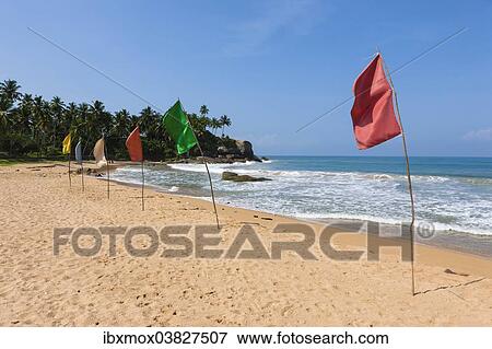 "Colorful flags on the beach, near Duwemodara, Galle region, Southern Province, Sri Lanka, Asia" View Large Photo Image Stock Photo - "Colorful flags on the beach, near Duwemodara, Galle region, Southern Province, Sri Lanka, Asia". Fotosearch