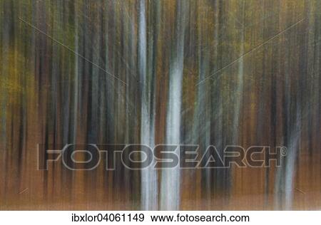 "Colors of autumn, abstract, Mount Cucco, Apennines, Umbria, Italy, Europe" View Large Photo Image Stock Photo - "Colors of autumn, abstract, Mount Cucco, Apennines, Umbria, Italy, Europe". Fotosearch
