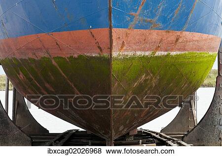 "Coloured hull covered with algae in the dry dock, Hvide Sande, Jutland, Denmark, Europe" View Large Photo Image Stock Photo - "Coloured hull covered with algae in the dry dock, Hvide Sande, Jutland, Denmark, Europe". Fotosearch