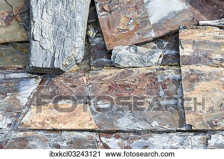 "Coloured slate, cracked open, Shackleton Walk, Fortuna Bay, Stromness Bay, South Georgia and the South Sandwich Islands, United Kingdom, Antarctica" View Large Photo Image Stock Image - "Coloured slate, cracked open, Shackleton Walk, Fortuna Bay, Stromness Bay, South Georgia and the South Sandwich Islands, United Kingdom, Antarctica". Fotosearch