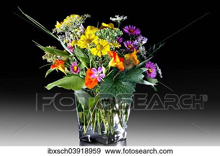 Colourful bouquet of wild flowers in a glass vase View Large Photo Image Stock Photo - Colourful bouquet of wild flowers in a glass vase. Fotosearch