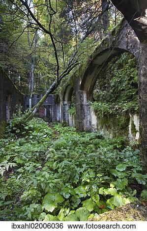 Stock Photograph - "Commando Austriaco, ruined shelter of World War I, Folgaria, province of Trentino, Italy, Europe". Fotosearch