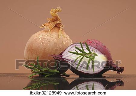 "Common onion, red onions, rosemary" View Large Photo Image Stock Photo - "Common onion, red onions, rosemary". Fotosearch