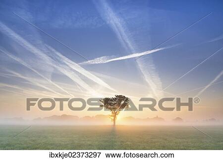 "Condensation trails in the sky, sunrise in Basse, Lake Mariensee, Neustadt am Ruebenberge, Lower Saxony, Germany, Europe" View Large Photo Image Stock Photo - "Condensation trails in the sky, sunrise in Basse, Lake Mariensee, Neustadt am Ruebenberge, Lower Saxony, Germany, Europe". Fotosearch
