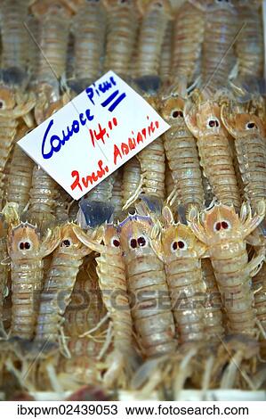 "Connoce fresh shrimp on the Rialto fish market, Venice, Italy, Europe" View Large Photo Image Stock Image - "Connoce fresh shrimp on the Rialto fish market, Venice, Italy, Europe". Fotosearch