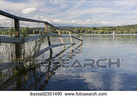 Stock Image - "Conservation area on Mettnau Peninsula near Radolfzell, Baden-Wuerttemberg, Germany, Europe, PublicGround, Europe". Fotosearch