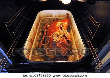 "Cooked roast duck with apples, in the oven" View Large Photo Image Stock Image - "Cooked roast duck with apples, in the oven". Fotosearch