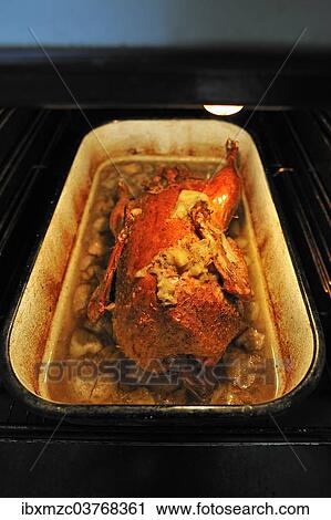 "Cooked roast duck with apples, in the oven" View Large Photo Image Stock Image - "Cooked roast duck with apples, in the oven". Fotosearch