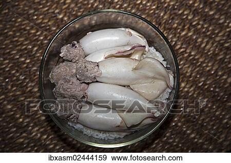 "Cooked squid tubes filled with minced pork on rice, Chiang Mai, Thailand, Asia" View Large Photo Image Stock Photo - "Cooked squid tubes filled with minced pork on rice, Chiang Mai, Thailand, Asia". Fotosearch