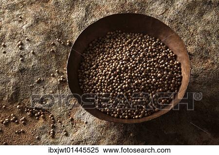 Coriander (Coriandrum sativum) in a copper bowl on a stone surface View Large Photo Image Stock Photography - Coriander (Coriandrum sativum) in a copper bowl on a stone surface. Fotosearch