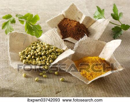 "Coriander seed, ground chili powder and ground turmeric, Indian spices" View Large Photo Image Stock Image - "Coriander seed, ground chili powder and ground turmeric, Indian spices". Fotosearch