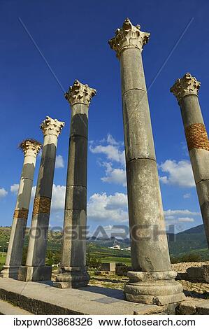 Stock Photograph - "Corinthian columns, Capitoline Temple, archaeological site, Volubilis, UNESCO World Heritage Site, near Meknes, Morocco, Africa". Fotosearch