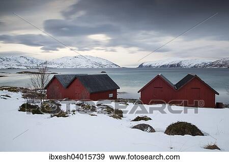 "Cottages on Kvalsundet, Kvaloya, Tromso, Troms, Norway, Europe" View Large Photo Image Stock Photo - "Cottages on Kvalsundet, Kvaloya, Tromso, Troms, Norway, Europe". Fotosearch