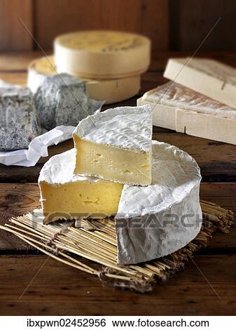"Coulommier, traditional French cheese" View Large Photo Image Stock Photograph - "Coulommier, traditional French cheese". Fotosearch