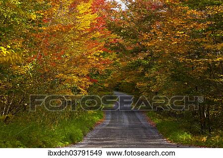 "Country road in autumn, town of Brome Lake, Eastern Townships, Quebec, Canada, North America" View Large Photo Image Stock Photo - "Country road in autumn, town of Brome Lake, Eastern Townships, Quebec, Canada, North America". Fotosearch