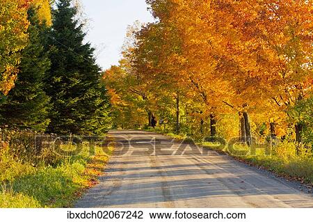 Stock Image - "Country road in autumn, West Bolton, Quebec, Canada, North America". Fotosearch