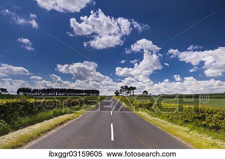 "Country road, Kelso, Scottish Borders, Scotland, United Kingdom, Europe" View Large Photo Image Stock Photography - "Country road, Kelso, Scottish Borders, Scotland, United Kingdom, Europe". Fotosearch