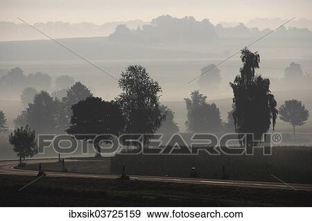 "Country road, Upper Swabian countryside, morning fog, morning mood, near Offingen, Upper Swabia, Baden-Wurttemberg, Germany, Europe" View Large Photo Image Stock Photo - "Country road, Upper Swabian countryside, morning fog, morning mood, near Offingen, Upper Swabia, Baden-Wurttemberg, Germany, Europe". Fotosearch