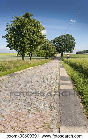 "Country road with cobblestones, near Teterow, Mecklenburg-Western Pomerania, Germany, Europe" View Large Photo Image Stock Image - "Country road with cobblestones, near Teterow, Mecklenburg-Western Pomerania, Germany, Europe". Fotosearch