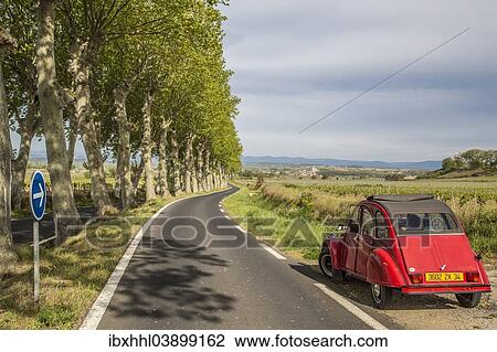 "Country road with plane trees and a red Citroen 2CV, Poilhes, Languedoc-Roussillon, France, Europe" View Large Photo Image Stock Image - "Country road with plane trees and a red Citroen 2CV, Poilhes, Languedoc-Roussillon, France, Europe". Fotosearch