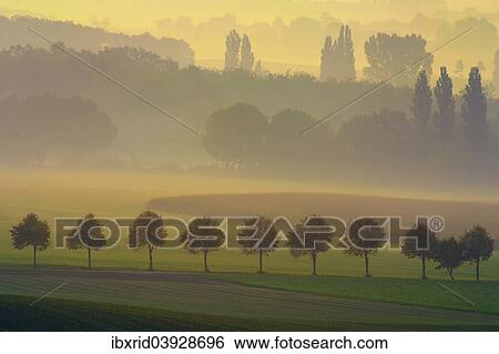 "Countryside of the Lower Rhine in the morning, Sonsbeck, Lower Rhine, Germany, Europe" View Large Photo Image Stock Photograph - "Countryside of the Lower Rhine in the morning, Sonsbeck, Lower Rhine, Germany, Europe". Fotosearch