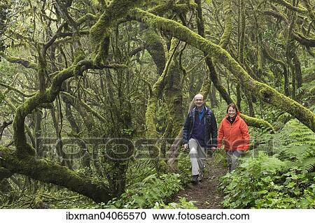 "Couple hiking in the cloud forest, laurel forest, Garajonay National Park, La Gomera, Canary Islands, Spain, Europe" View Large Photo Image Stock Image - "Couple hiking in the cloud forest, laurel forest, Garajonay National Park, La Gomera, Canary Islands, Spain, Europe". Fotosearch