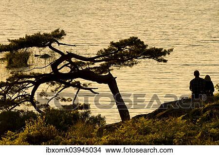 "Couple sitting at the lakeside, evening mood, Lake Asnen, Smaland, Sweden, Europe" View Large Photo Image Picture - "Couple sitting at the lakeside, evening mood, Lake Asnen, Smaland, Sweden, Europe". Fotosearch