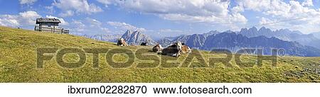 "Cows, Aferer Alm alp on Plosen mountain, view of Aferer Geisler Massif and Peitlerkofel mountain, Wuerzjoch ridge, Villnoesstal valley, Dolomites, province of Bolzano-Bozen, Italy, Europe" View Large Photo Image Stock Image - "Cows, Aferer Alm alp on Plosen mountain, view of Aferer Geisler Massif and Peitlerkofel mountain, Wuerzjoch ridge, Villnoesstal valley, Dolomites, province of Bolzano-Bozen, Italy, Europe". Fotosearch