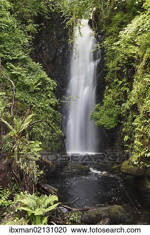 "Cranny Falls near Carnlough, County Antrim, Northern Ireland, Great Britain, Europe, PublicGround" View Large Photo Image Stock Image - "Cranny Falls near Carnlough, County Antrim, Northern Ireland, Great Britain, Europe, PublicGround". Fotosearch