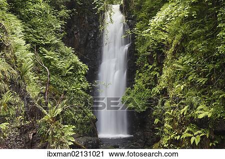 "Cranny Falls near Carnlough, County Antrim, Northern Ireland, Great Britain, Europe, PublicGround" View Large Photo Image Stock Image - "Cranny Falls near Carnlough, County Antrim, Northern Ireland, Great Britain, Europe, PublicGround". Fotosearch