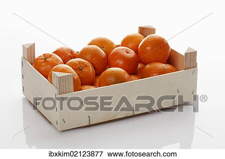Crate of Mandarins (Citrus reticulata) View Large Photo Image Stock Photo - Crate of Mandarins (Citrus reticulata). Fotosearch
