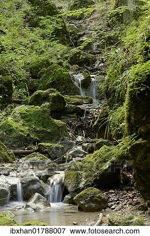 "Creek in the Steinwandklamm canyon, Triestingtal valley, Lower Austria, Austria, Europe" View Large Photo Image Stock Photo - "Creek in the Steinwandklamm canyon, Triestingtal valley, Lower Austria, Austria, Europe". Fotosearch