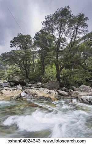 "Creek, Neuquen Province, Argentina, South America" View Large Photo Image Stock Image - "Creek, Neuquen Province, Argentina, South America". Fotosearch
