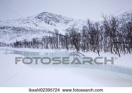 "Creek on Kattfjord pass in winter, Kvaloya, Tromso, Norway, Europe" View Large Photo Image Picture - "Creek on Kattfjord pass in winter, Kvaloya, Tromso, Norway, Europe". Fotosearch