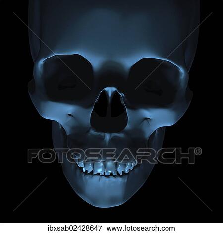 Stock Photo - "Creepy skull, 3D illustration". Fotosearch