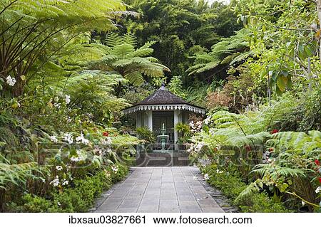 "Creole architecture, garden with a fountain, gazebo, Maison Folio, tropical vegetation with Tree Ferns (Cyatheales), Cirque de Salazie, Hell-Bourg, Reunion" View Large Photo Image Stock Image - "Creole architecture, garden with a fountain, gazebo, Maison Folio, tropical vegetation with Tree Ferns (Cyatheales), Cirque de Salazie, Hell-Bourg, Reunion". Fotosearch