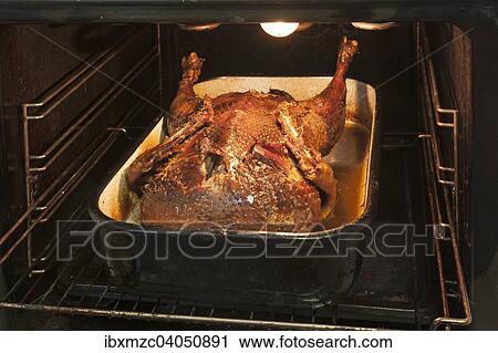 Crispy roasted duck in a roasting pan in an oven View Large Photo Image Stock Image - Crispy roasted duck in a roasting pan in an oven. Fotosearch