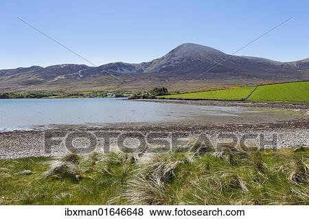 "Croagh Patrick mountain, Carrowkeeran, County Mayo, Connacht province, Republic of Ireland, Europe" View Large Photo Image Stock Photo - "Croagh Patrick mountain, Carrowkeeran, County Mayo, Connacht province, Republic of Ireland, Europe". Fotosearch